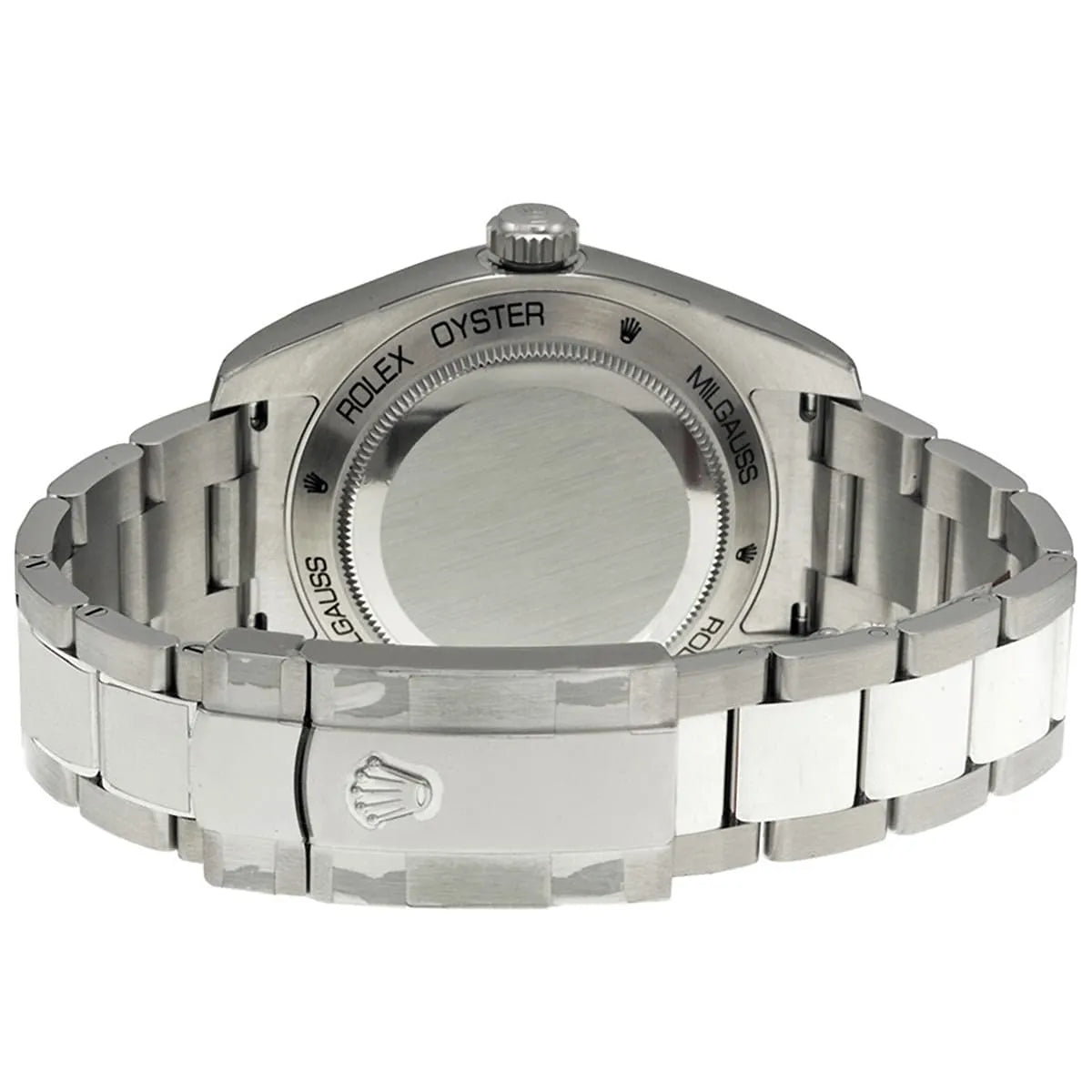 Rolex melgus