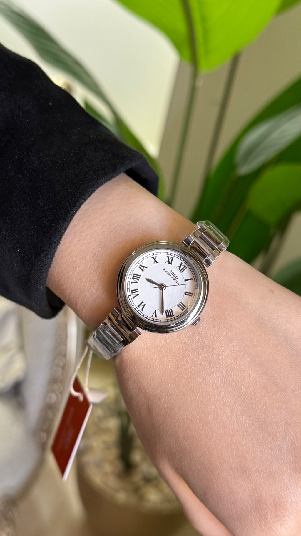 Ibso vintage .60