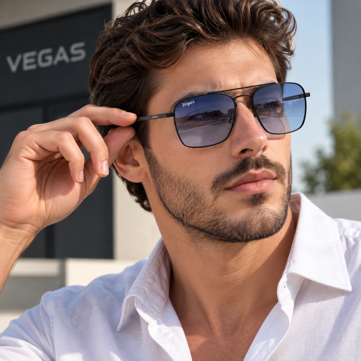 Vegas V2030