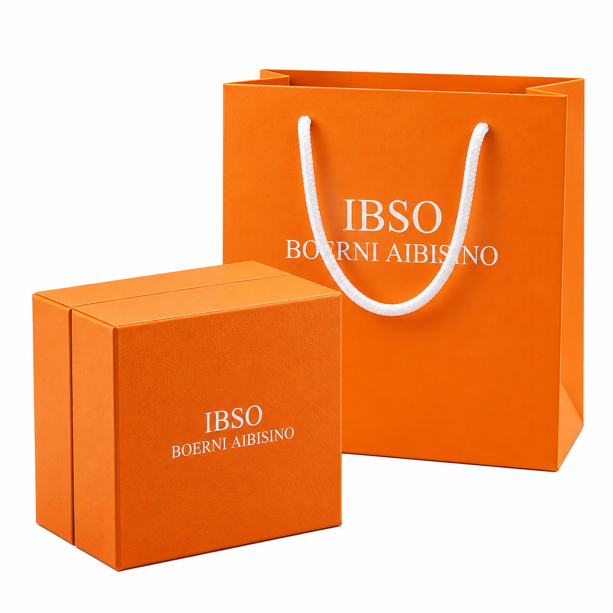 Ibso santos.01